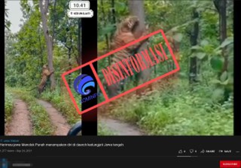 [DISINFORMASI] Viral Video Harimau di Hutan Kedungjati Grobogan