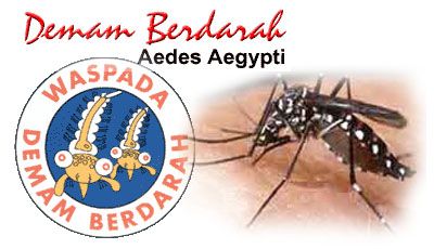 Kasus DBD di Pekanbaru Capai 285 Penderita
