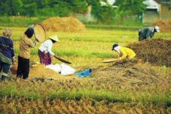 NTP Turun, Petani Riau Defisit