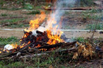 Image : Berpotensi Picu Kebakaran Lahan, Pemko Pekanbaru Himbau Warga tak Bakar Sampah