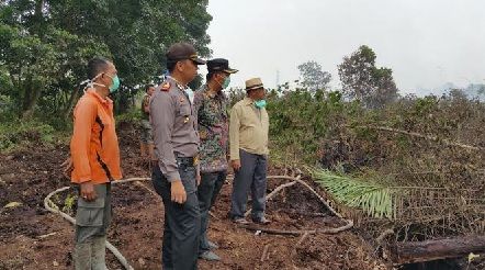 Puluhan Hektar Lahan Terbakar di Pekanbaru