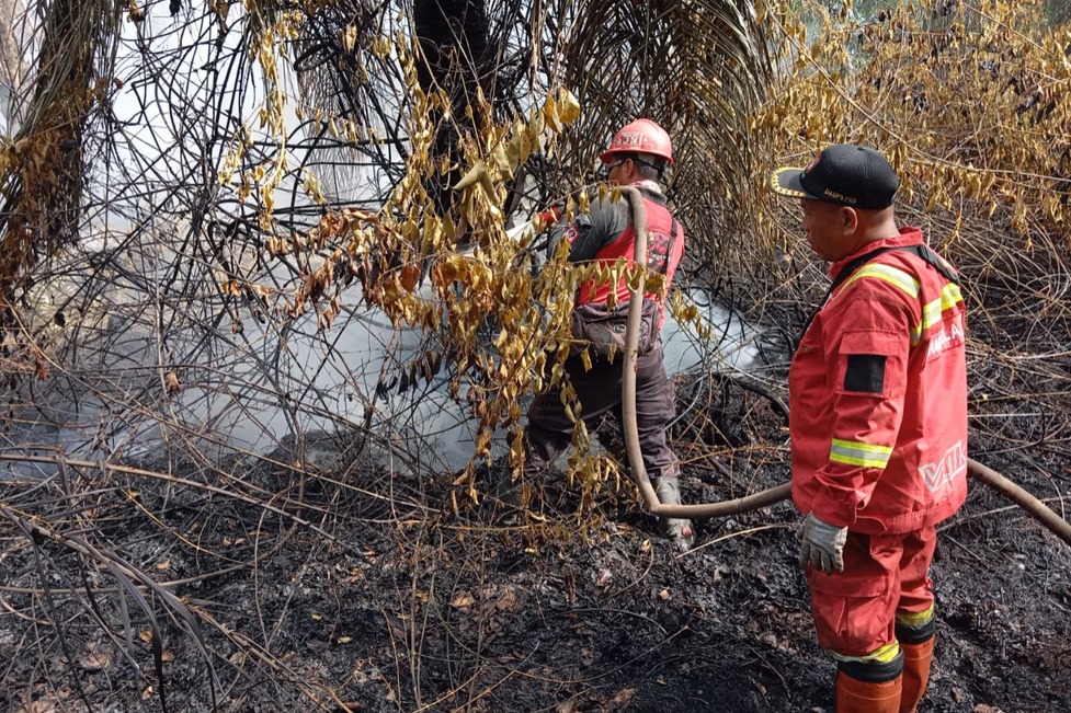 BPBD Pekanbaru Siagakan Seratus Personel Mengantisipasi Kebakaran Lahan
