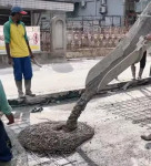 Image : Dinas PUPR Lakukan Semenisasi Jalan Melur, Komitmen Pemko Bangun Jalan Berkualitas