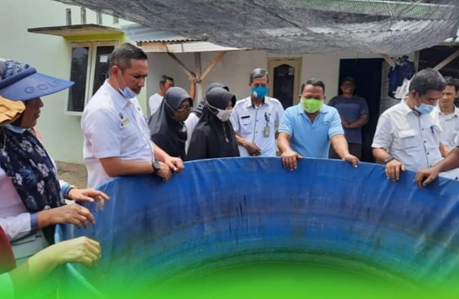 Disketapang Bangga dengan Hasil Panen KT Mentangor Jaya