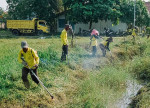 Image : Pasukan Kuning Bersihkan Sampah dan Tumbuhan Liar di Drainase Jalan Punai
