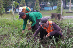 Image : Wako Pekanbaru Galakkan Penghijauan, DLHK Tata Ulang Taman Median Jalan