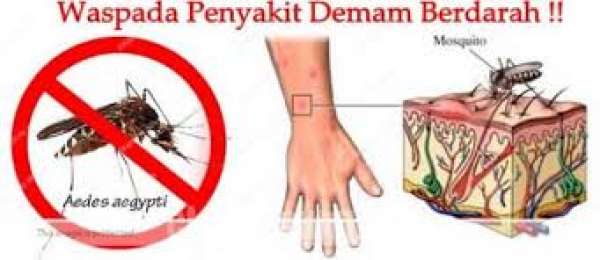 Hingga Pekan Ke-24, DBD Bertambah 10 Kasus 