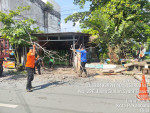 Image : BPBD Pekanbaru Imbau Warga Waspadai Pohon Tumbang Dalam Cuaca Ekstrem