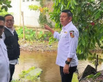 Image : Pemko Pekanbaru dan Pemprov Riau Siapkan Perbaikan Drainase untuk Atasi Banjir di Depan RS Awal Bros