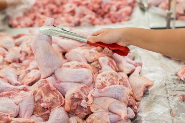 Harga Daging Ayam di Pekanbaru Masih Fluktuatif