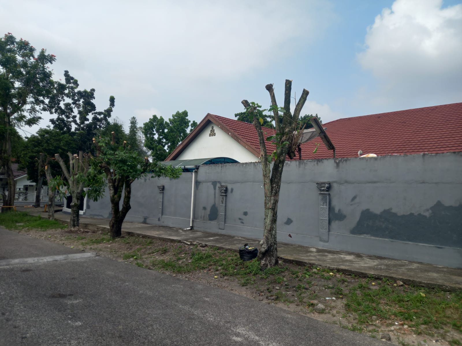 Pohon Sekitaran Aryaduta Ditebang OTK, DLHK Pekanbaru Pastikan Proses Pelaku