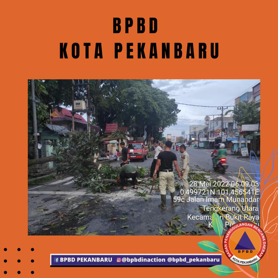 BPBD Evakuasi Pohon Tumbang di Harapan Raya