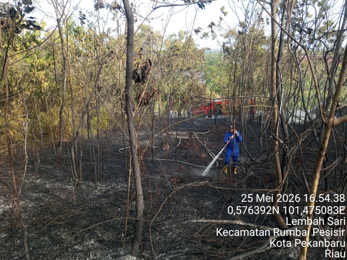 Wako Pekanbaru Tetapkan status Siaga Darurat Bencana Kebakaran Lahan dan Hutan