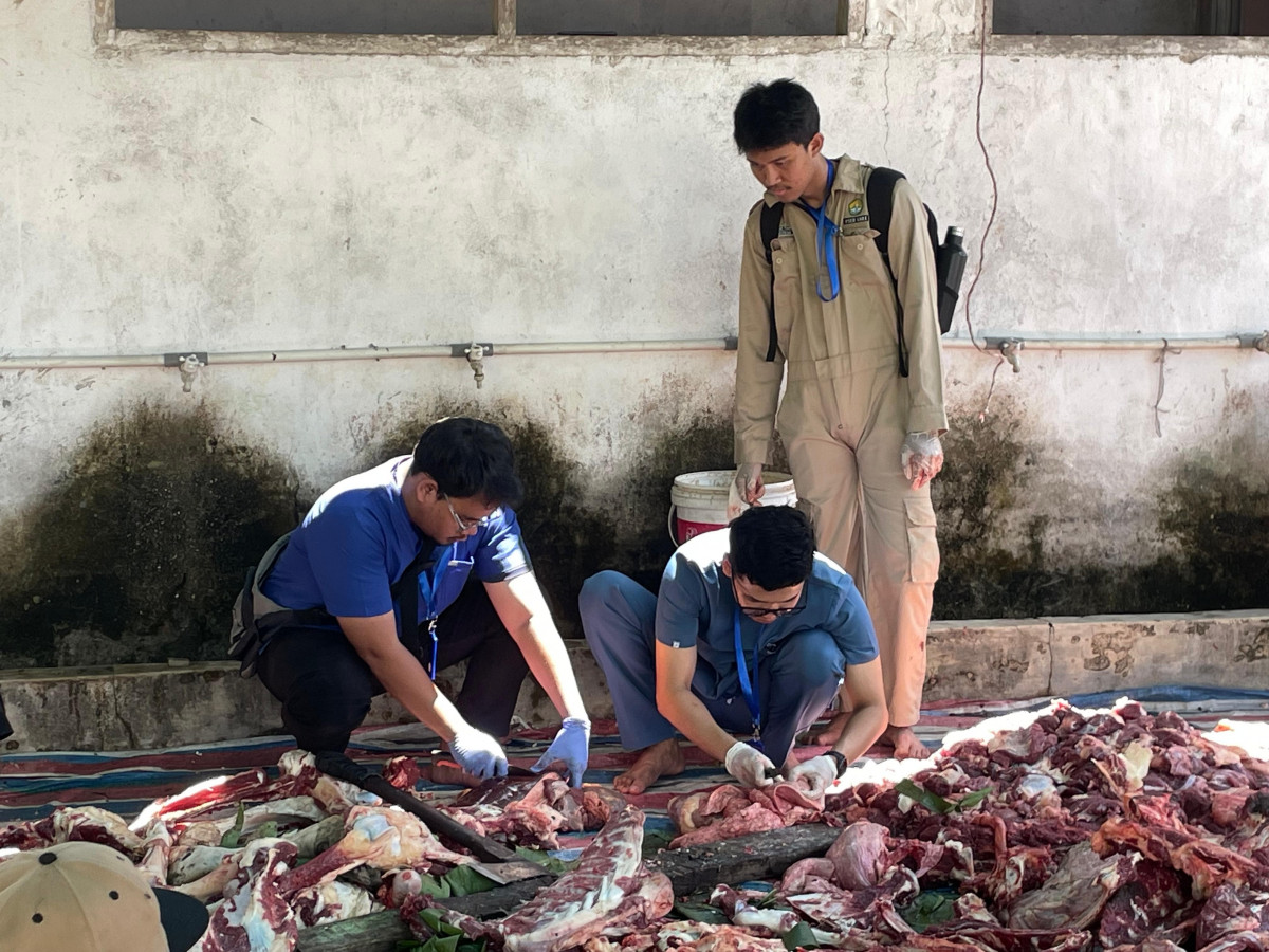 75 Petugas Kesehatan Hewan Periksa Kelayakan Daging Kurban di Pekanbaru
