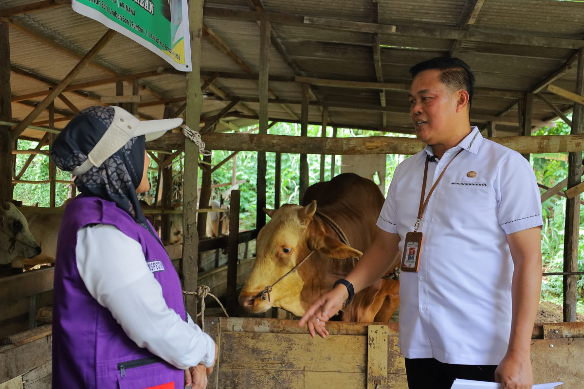 Tim Distankan Pastikan Hewan Kurban di Kota Pekanbaru Dalam Kondisi Sehat