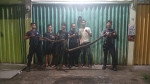 Image : Evakuasi Ular Dominasi Upaya Penyelamatan Tim DPKP Pekanbaru Selama Juni 2026