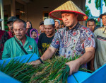 Image : Panen Padi Gogo di Rumbai Meningkat, Pemko Pekanbaru Perkuat Ketahanan Pangan