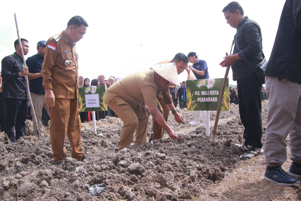 Pj Wali Kota Pekanbaru Roni Rakhmat mengikuti kegiatan Pemuda Tani Indonesia Provinsi Riau yang berlangsung di Lapangan Lokasi Tani Rumbai, Kelurahan Tebing Tinggi Okura, Kecamatan Rumbai Timur