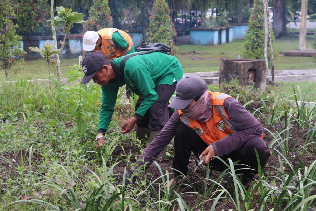 Tim dari DLHK Pekanbaru  menata dan menanami bunga di sepanjang Jalan Jendral Sudirman
